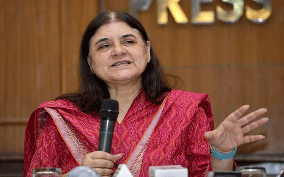 Maneka urges CMs to appoint more officers for domestic violence cases