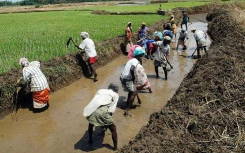 Committee to examine using MNREGA in agriculture