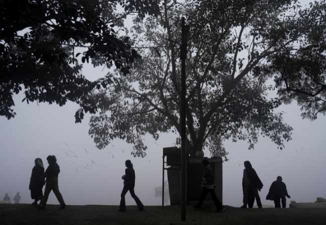 Frigid conditions to persist in Delhi; winter rain likely on New Year's Day