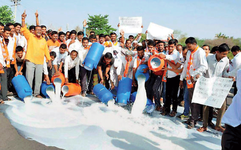 As farmers agitate, Mumbai, other cities stare at milk crisis