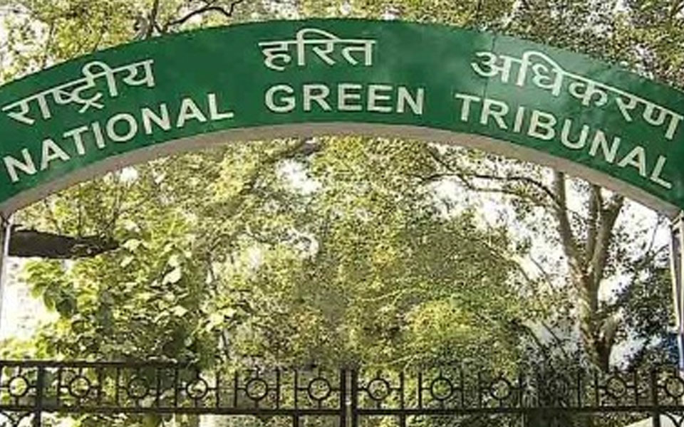 Don't cut trees till July 19, says NGT