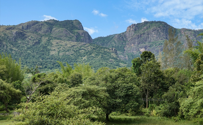 Nilgiris faces high landslide risk, Geological Survey of India warns
