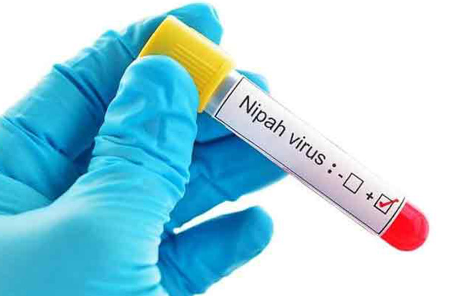 Homeopaths claim to have medicines for Nipah