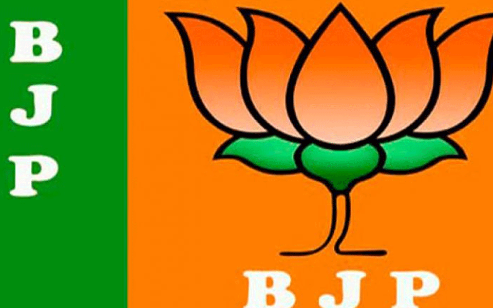 BJP team meets Goa MLAs over leadership, no consensus yet