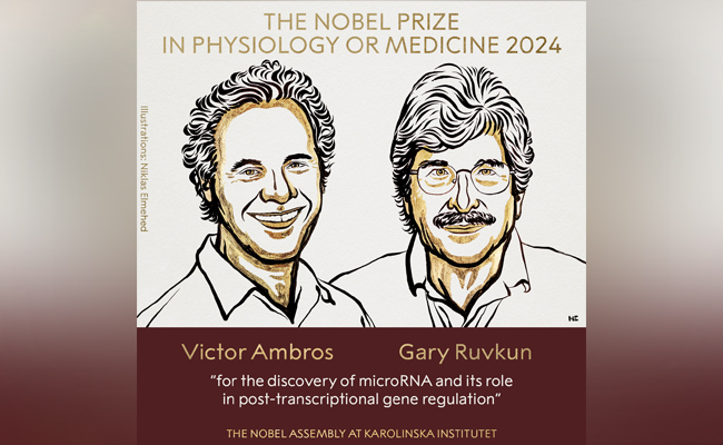 Nobel Prize in medicine honours two Americans for discovery of microRNA