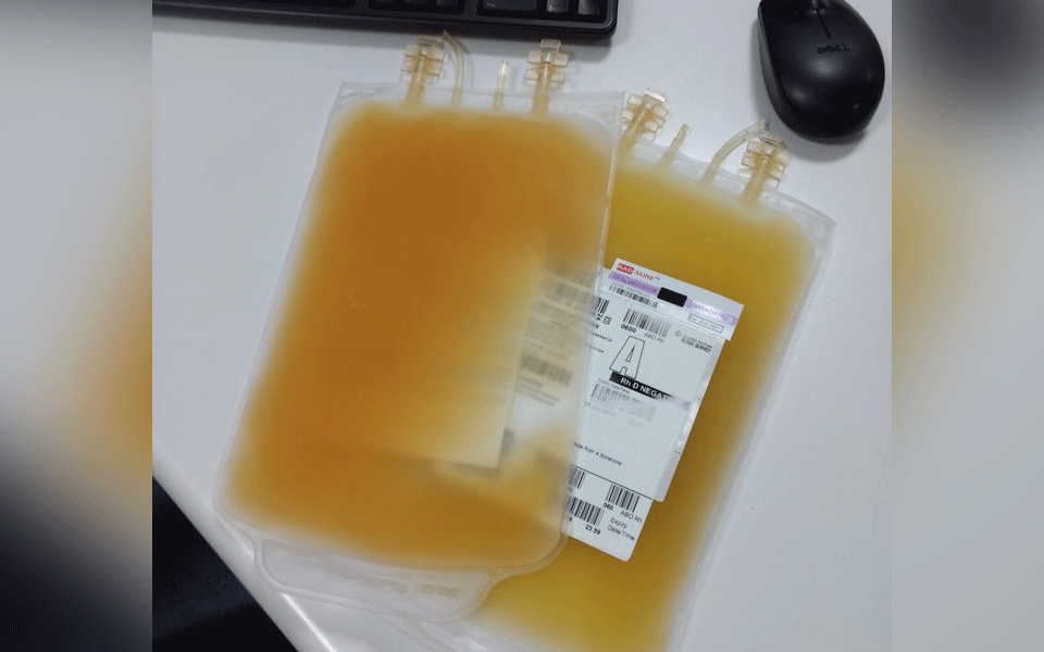 Dengue patient dies after allegedly being transfused fruit juice instead of platelets