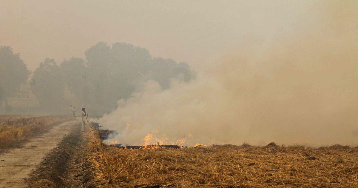 Delhi pollution: Smoke intrusion from farm fires in Oct-Nov lowest in four years, says CSE