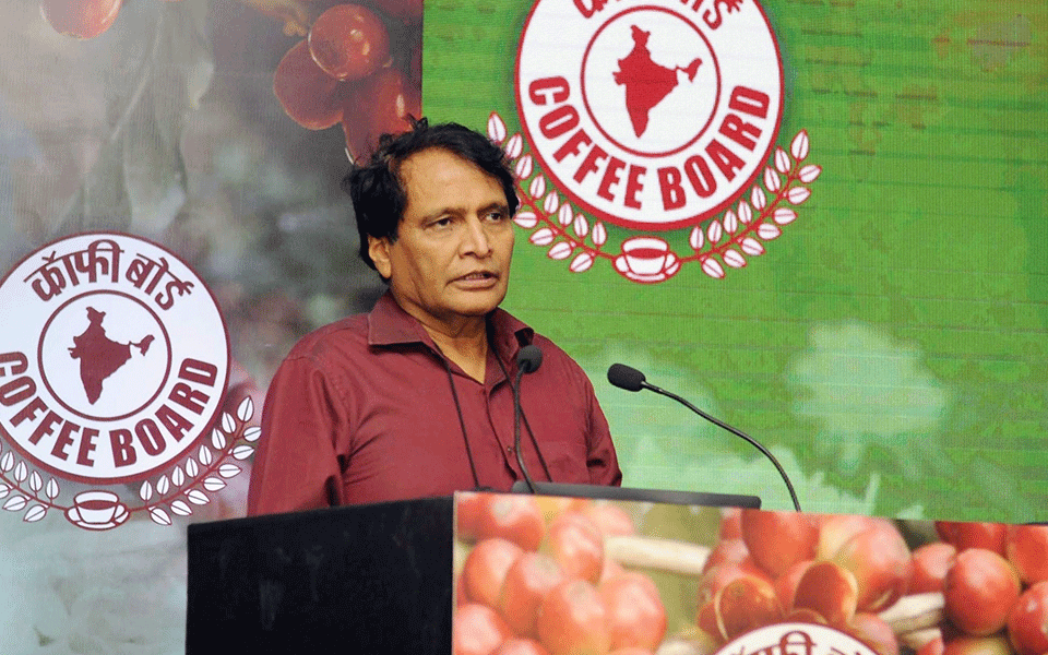 RCEP trade negotiations will continue into 2019: Prabhu