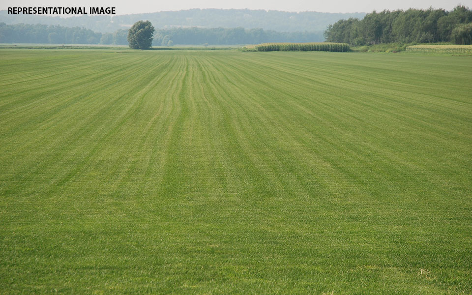 Kharif crop sown over 115.9 lakh hectares