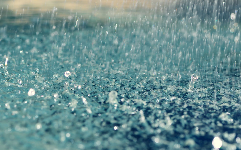 Widespread rainfall in Punjab, Haryana may damage paddy crop