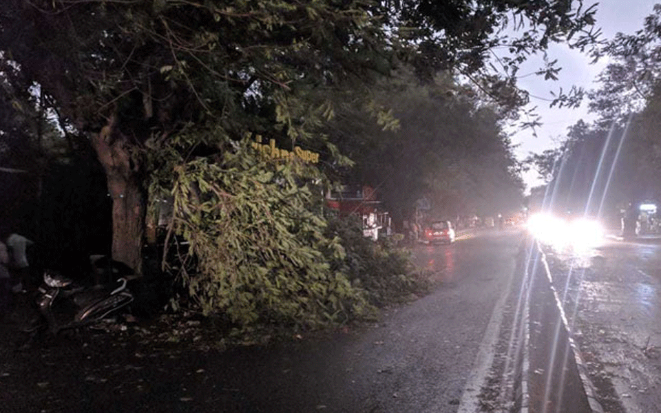 Two dead, 18 injured in Delhi dust storm