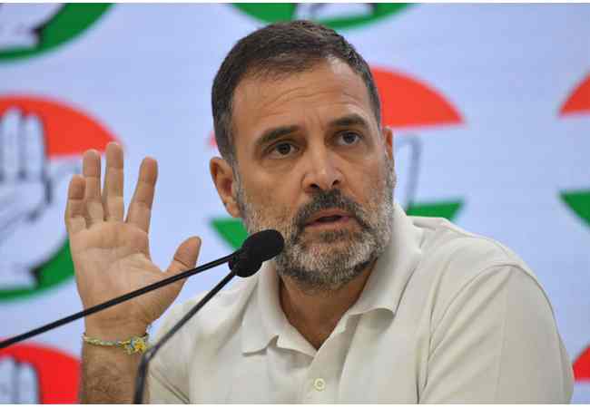 Himachal BJP leader files complaint seeking FIR against Rahul for 'defaming' PM