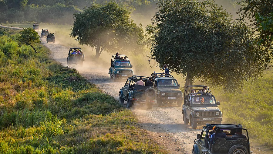 Rajasthan: Twenty tourists stranded in Ranthambore as safari vehicle breaks down