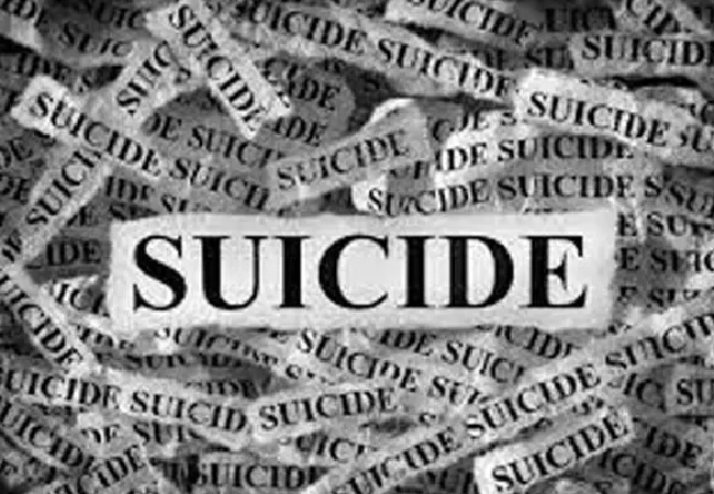 Teen girl's body found hanging from tree in Delhi's Japanese Park; suicide suspected