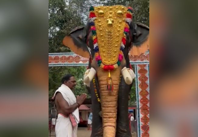 Kerala temple gets life-size mechanical elephant from actor Disha Patani, PETA