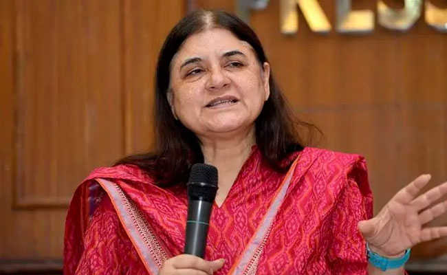 Can't think of one other reason: Maneka Gandhi on if writings critical of govt cost son ticket