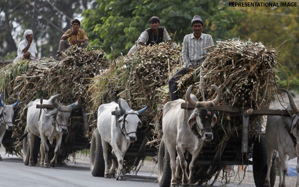 FIR against Modi Sugar Mills chiefs