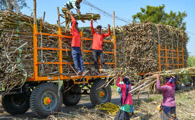 Maharashtra: Rs 10 cr bank guarantee mandated for leased sugar mills to ensure FRP payments