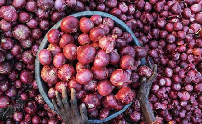 Onion prices remain high in national capital; all India average rate at Rs 53.75 per kg