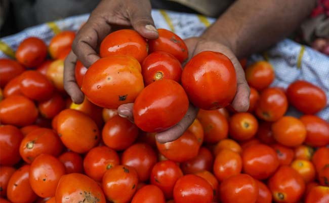 Tomatoes fuel fresh fears of food inflation spike in October