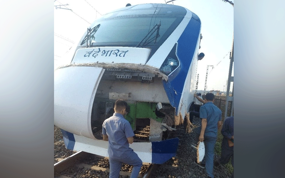 Cattle-hit incidents of Vande Bharat train, RPF asks heads of villages to curb stray animal menace