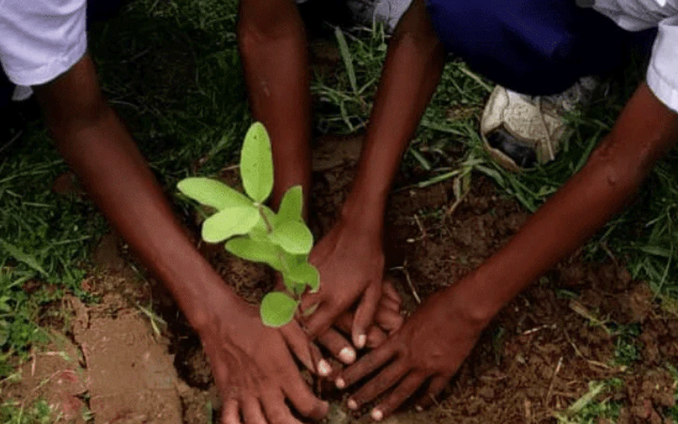 Male teacher at Nashik school stops girl students having menstruation from  planting trees