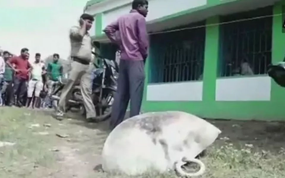 1 Dead, 5 Injured In Blast At Trinamool Office In Bengal