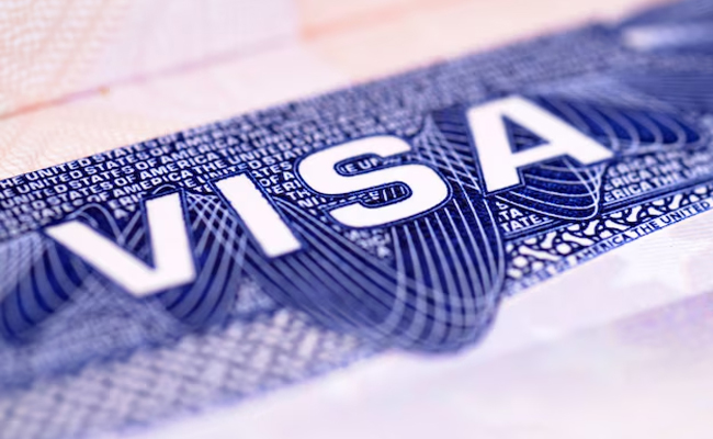 Govt launches 2 special categories visas for international students