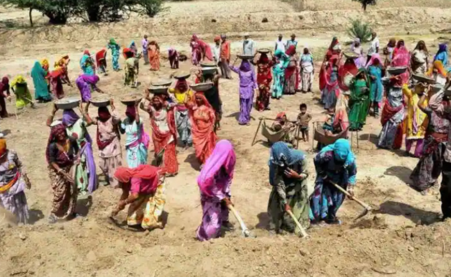 Parliamentary panel criticises low wages under MGNREGA, recommends reforms