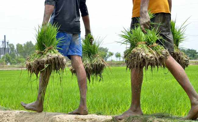 MP farmer, kin protest by walking on knees to draw attention to land problem