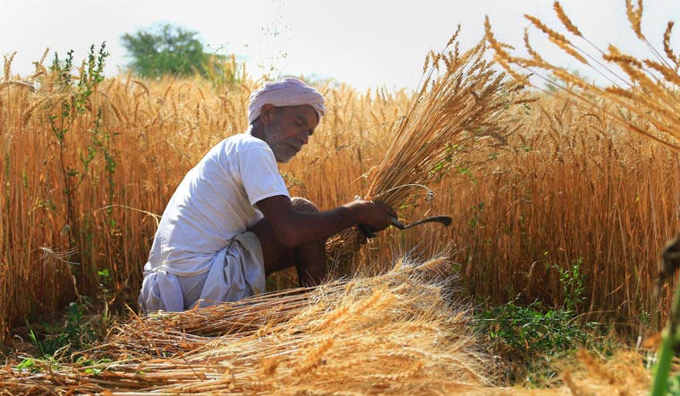 India bans wheat exports with immediate effect