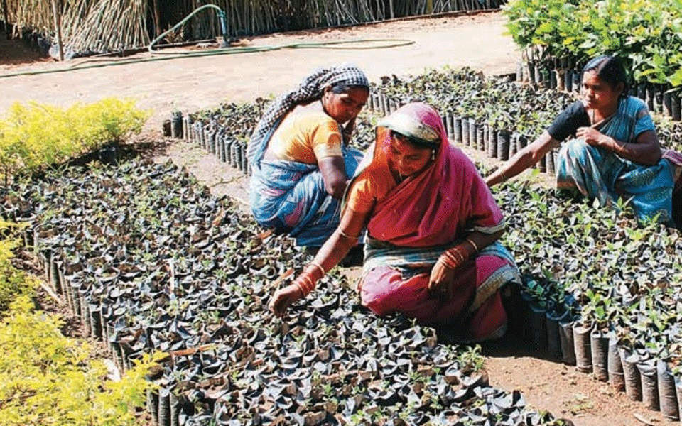 India is the 12th worst country for gender disparity in labour force