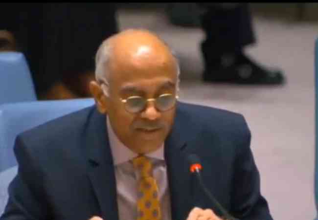 India reaffirms support for two-state solution for Palestine at UN Security Council Debate