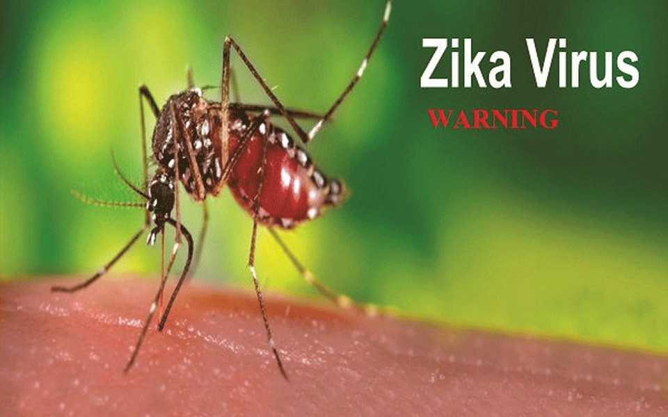 18 more Zika virus cases detected in Jaipur; total now 50