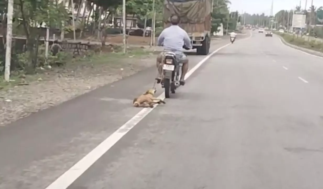 Man in Byndoor seen in viral video riding with pet dog chained to bike; police file suo motu case