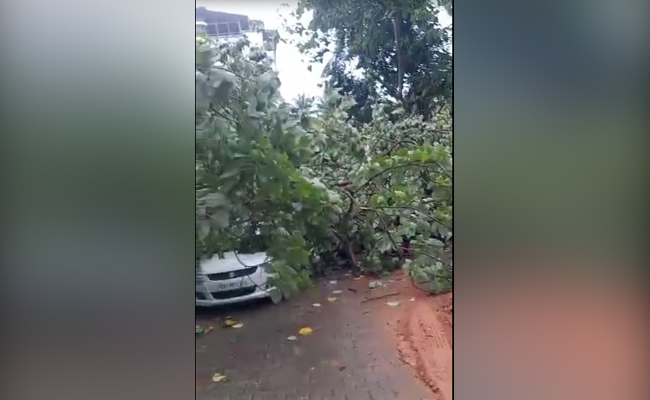Heavy rains uproot tree in Mangaluru’s Falnir; Vehicles, electric poles damaged
