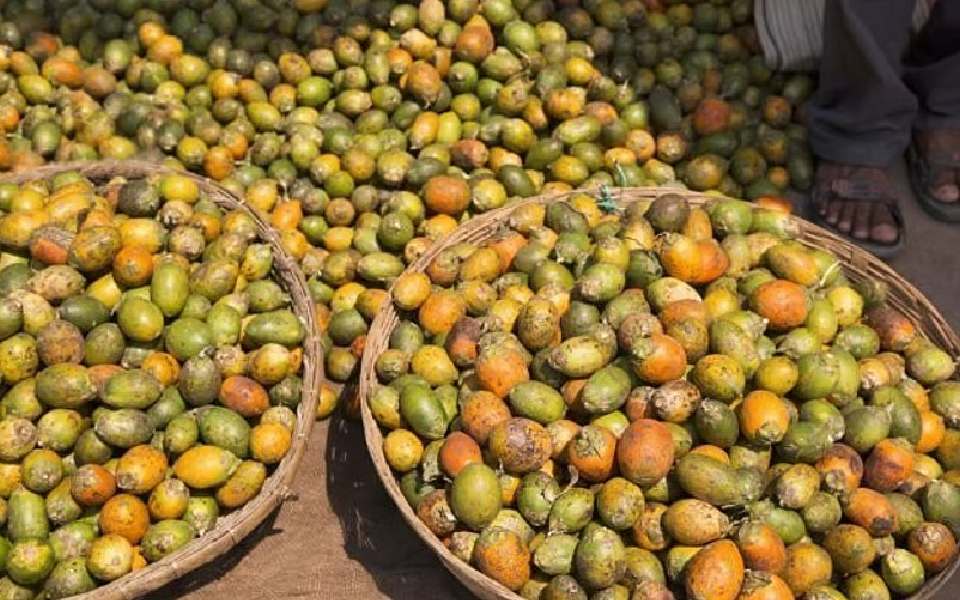 Arecanut vendor in Bantwal accused of duping farmers of Rs 95 lakh; police file case