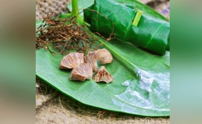 Kundapur: 71-year-old woman in Gangolli dies after consuming rat poison believing it to be "supari"