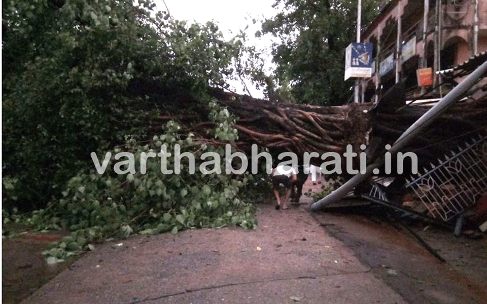 Udyavara schools, colleges to be shut due to heavy rain