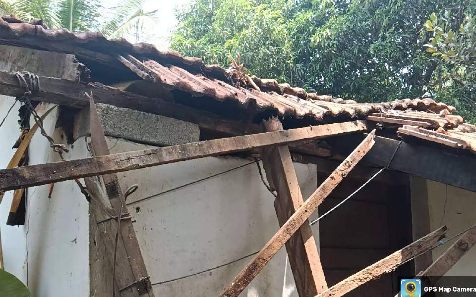 Tree falls on house in Ullal after heavy rain, no injuries reported
