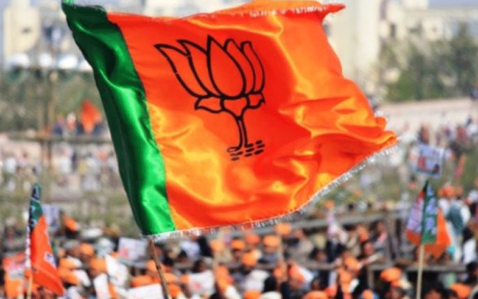 Udupi: BJP wins in ZP by-poll