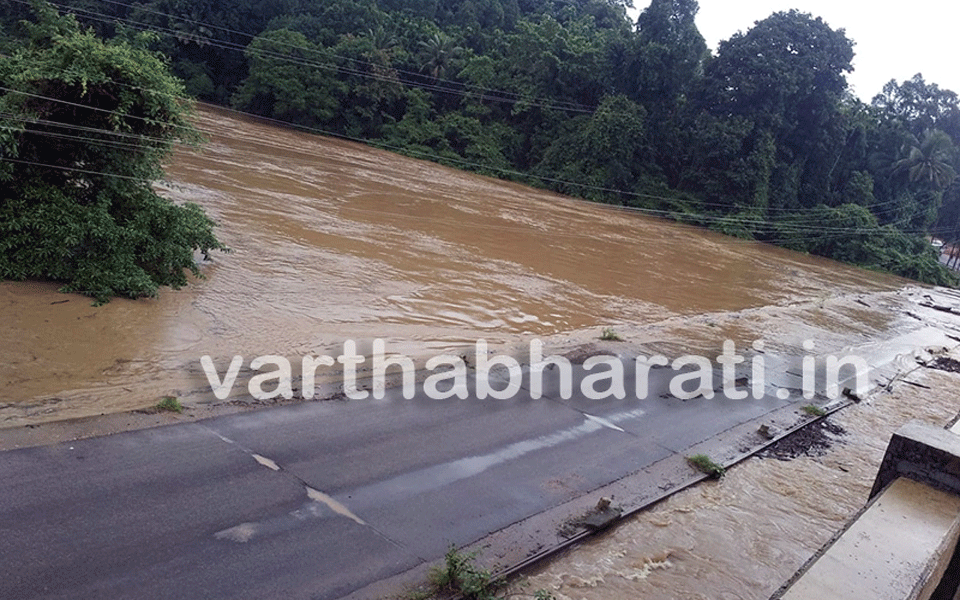 Incessant rain in Kadaba: Hosamath Bridge sinks