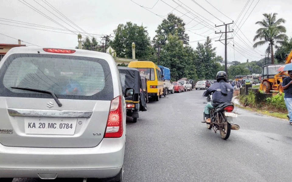 Belthangady: Traffic hit as tree falls on road