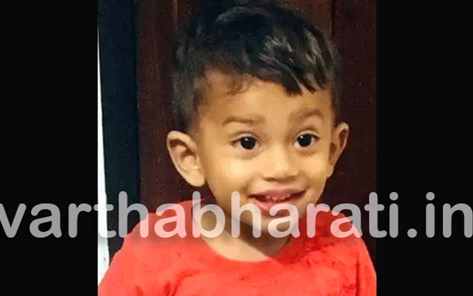 TV set falls on two-year-old; Child dies