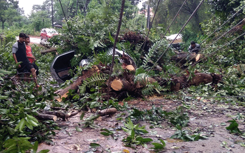 Dharmasthala: Passengers hurt when a tree falls on moving car