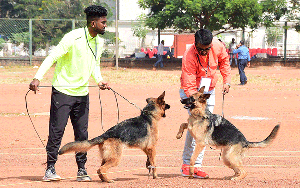 Mangaluru: German Shepherd, Rottweiler win hearts of dog lovers