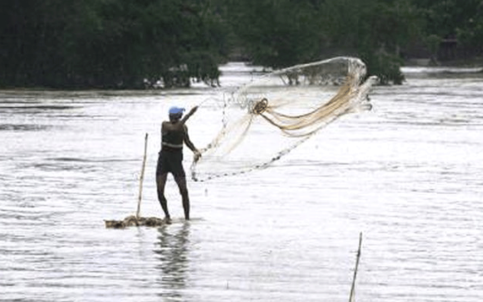 No fishing in DK from June 1 to July 31