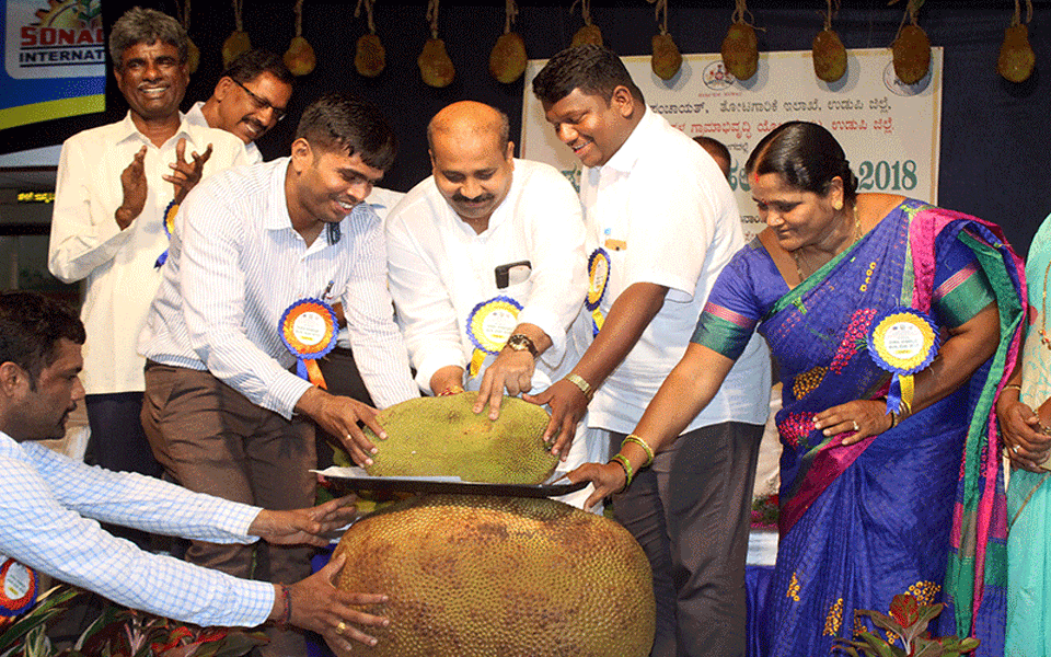 Consumption of jackfruit can prevent AIDS : MLA Raghupathi Bhat