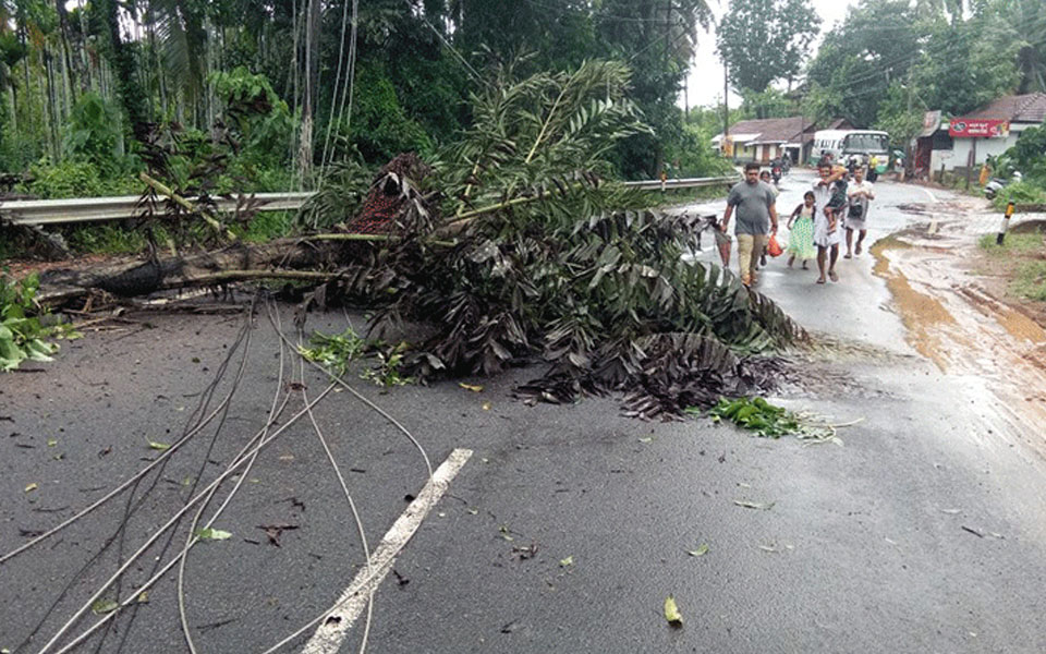 Kodimbadi : Electric poles damaged: Traffic disrupted