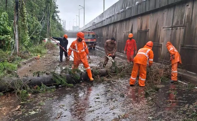 Heavy rains disrupt life in Kasaragod; Orange alert issued until Wednesday